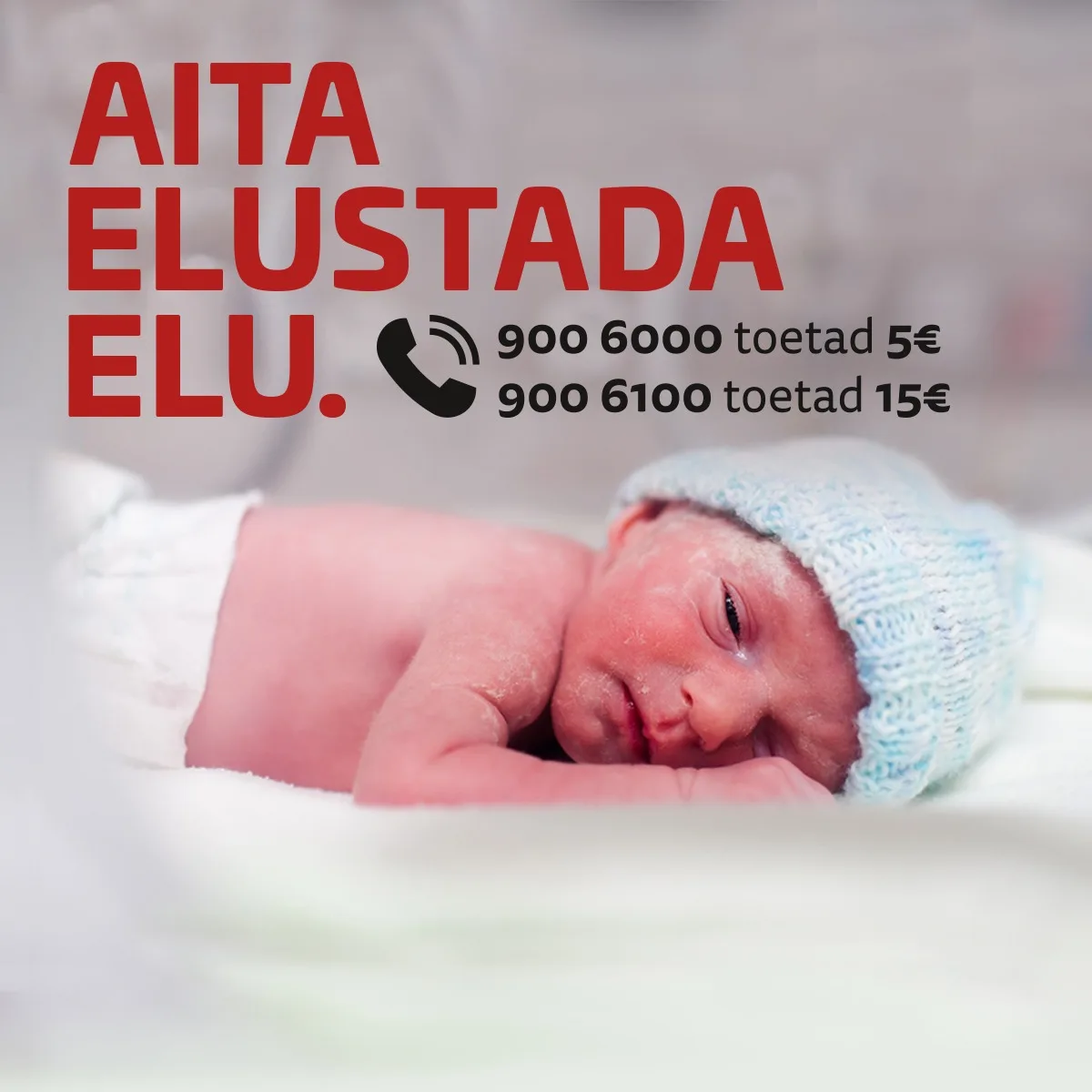 Read more about the article Colonna Kinnisvara