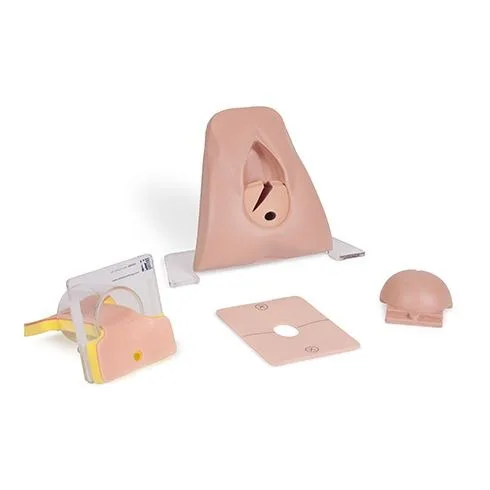 Read more about the article 15 mulaaži episiotoomia koolituste läbiviimiseks Tartu Ülikooli Kliinikumi Naistekliinikus